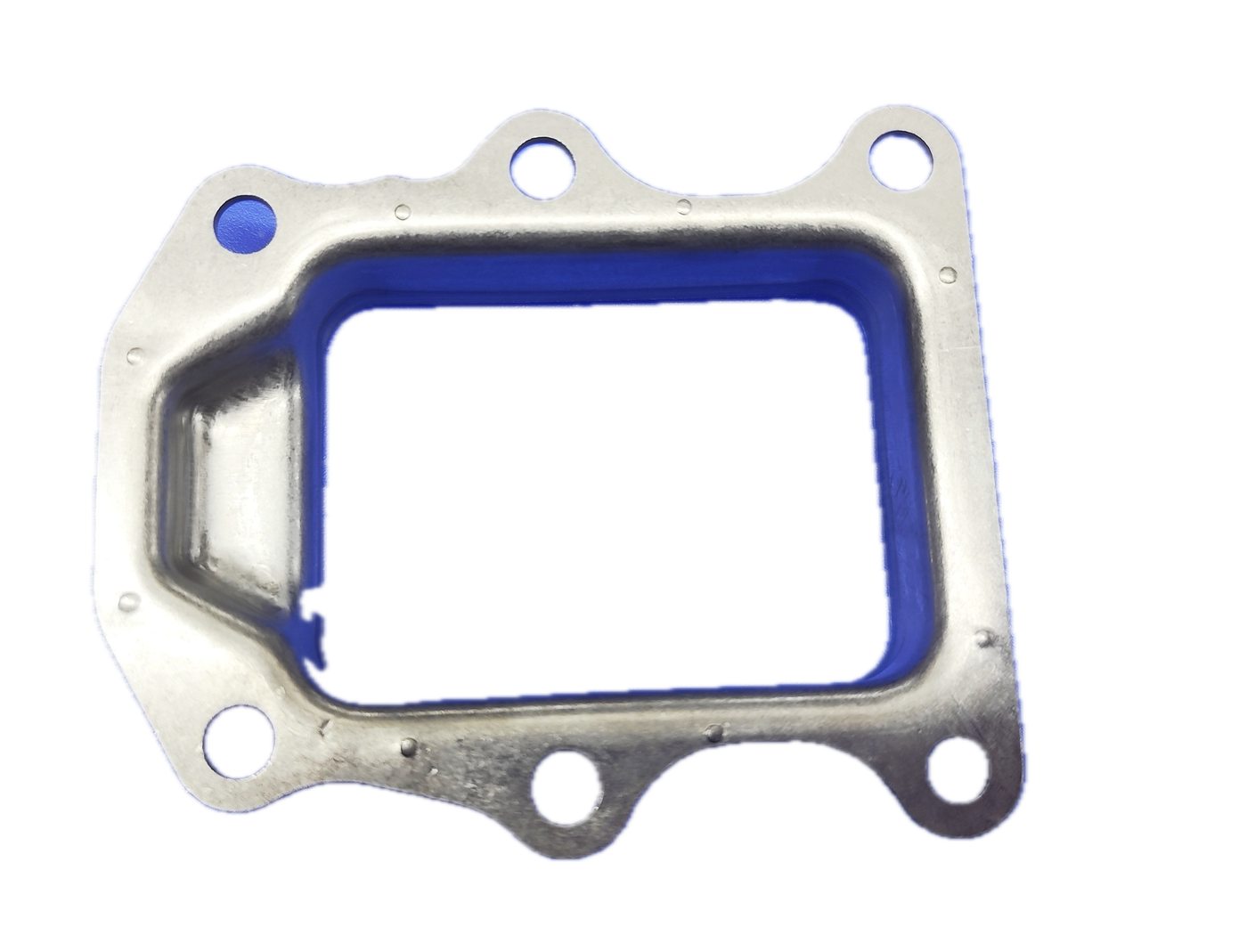 EGR view 5